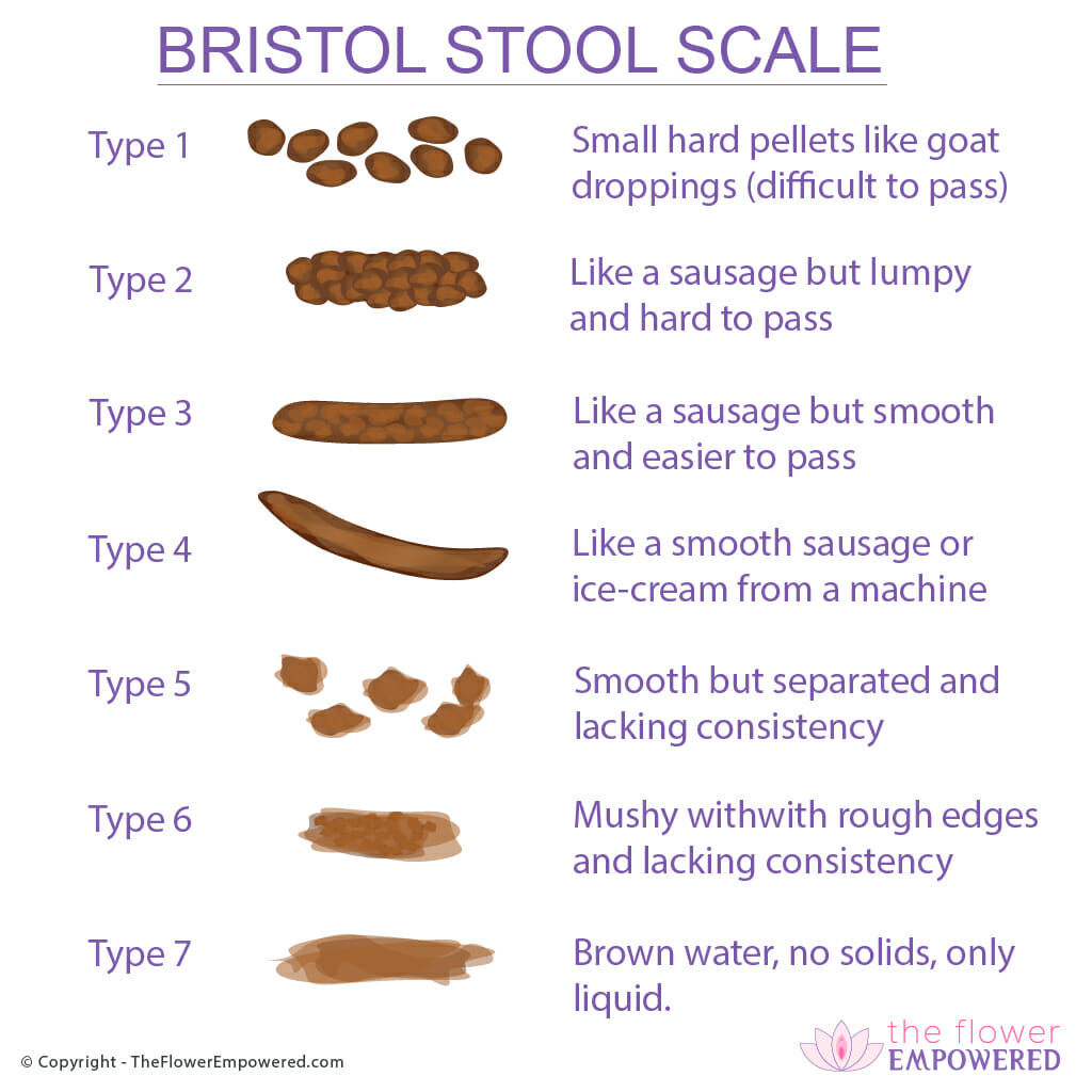Bristol Stool Chart Color Stools Item