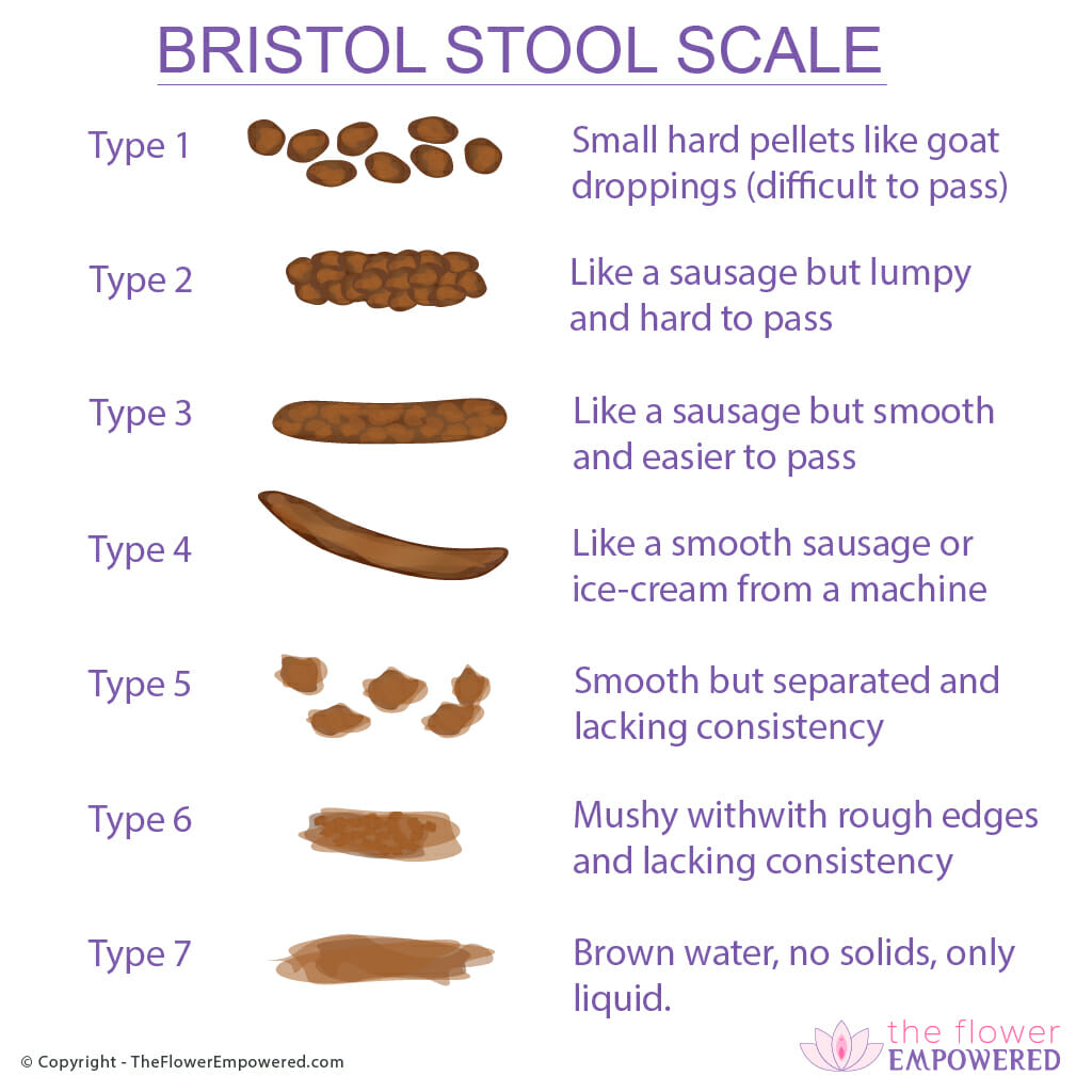 Bristol Stool Scale (3 or 4 is perfect) - The Flower Empowered