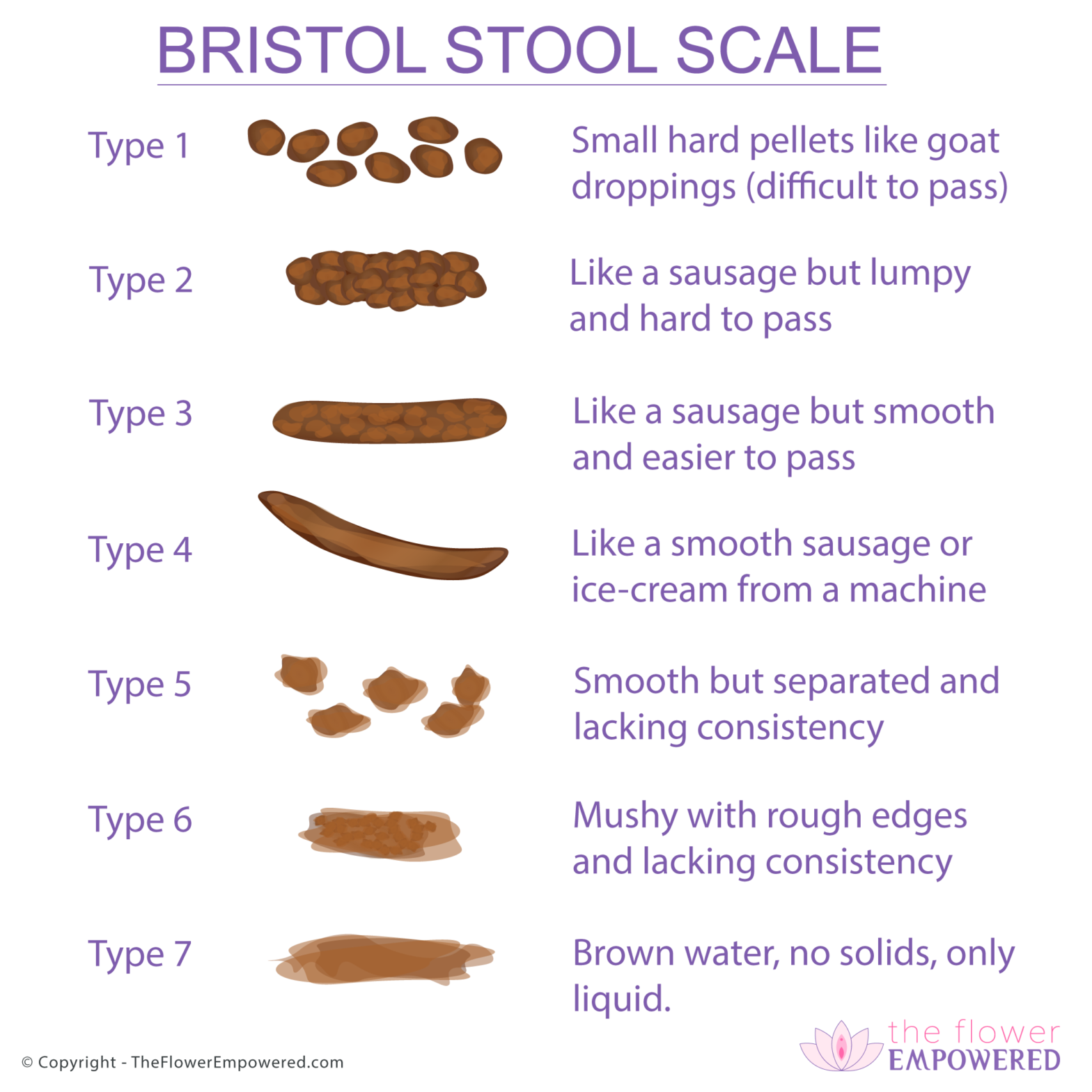 Bristol Stool Scale (3 or 4 is perfect) The Flower Empowered