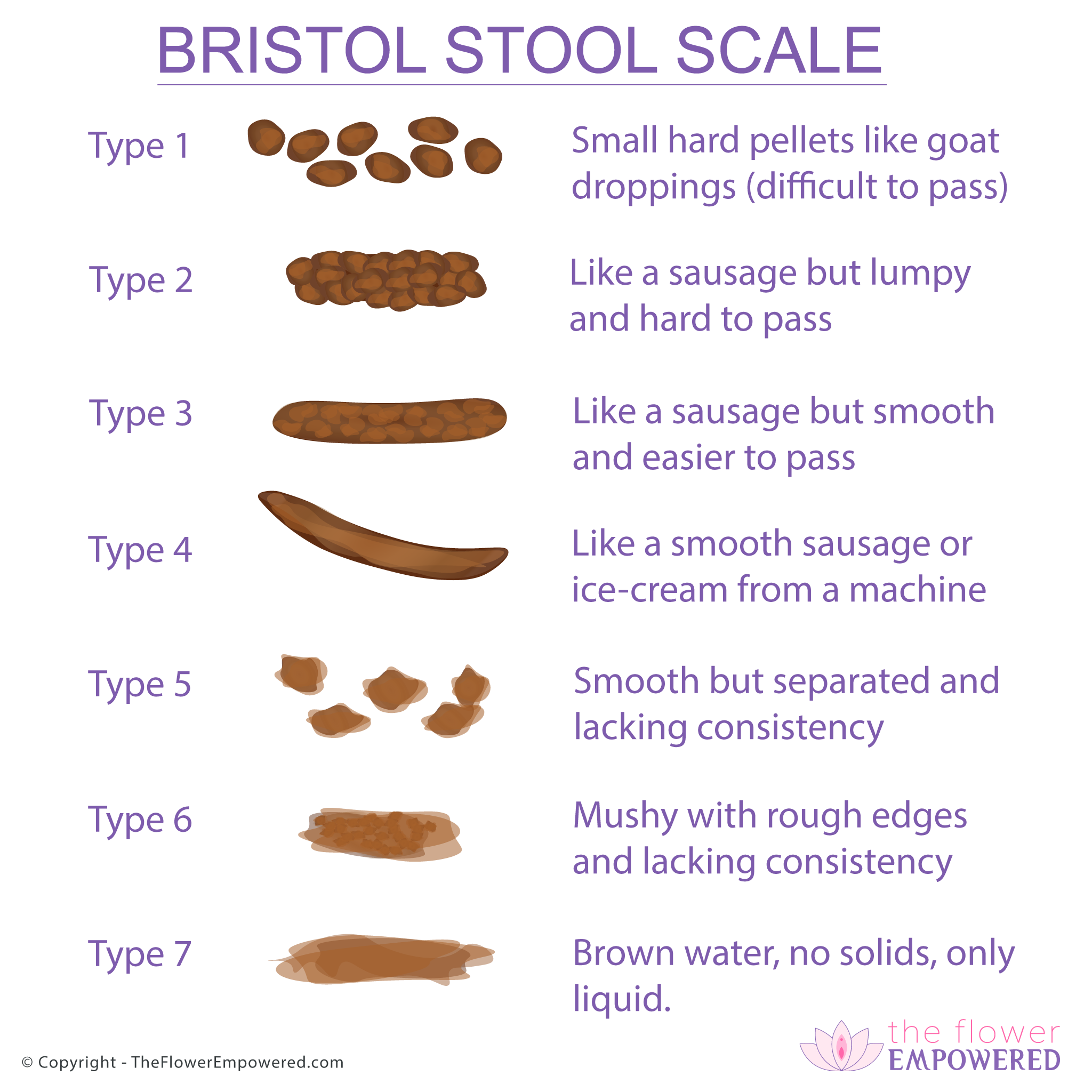 Bristol Stool Scale (3 or 4 is perfect) - The Flower Empowered