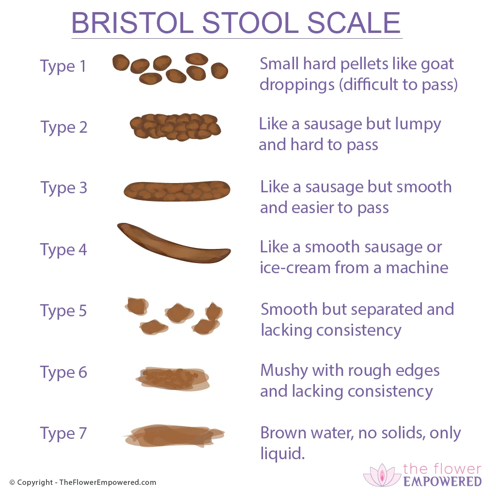 Bristol Stool Scale_Bristol-Stool_Scale